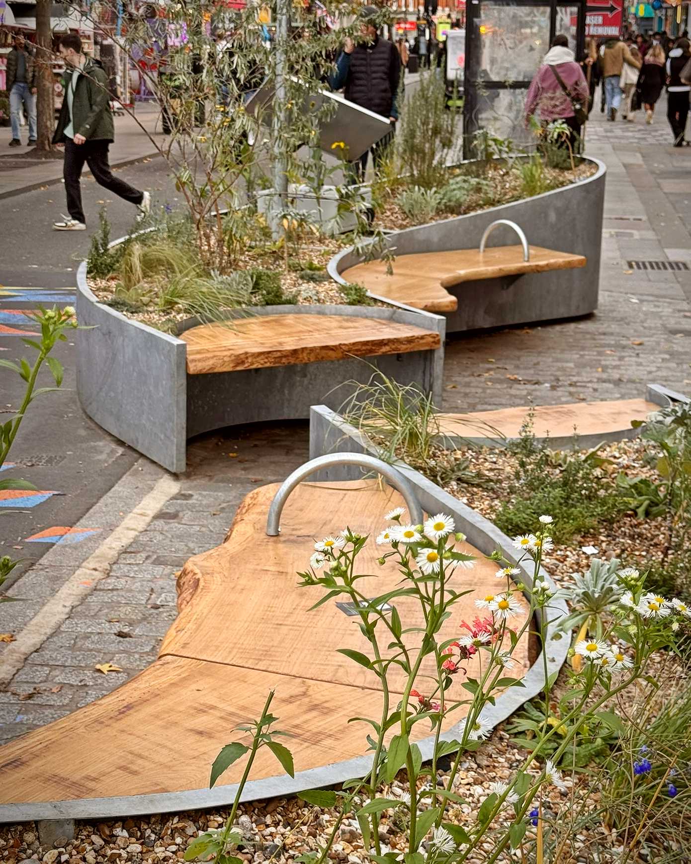 Locally Sourced Oak Shapes Camden’s New Civic Square