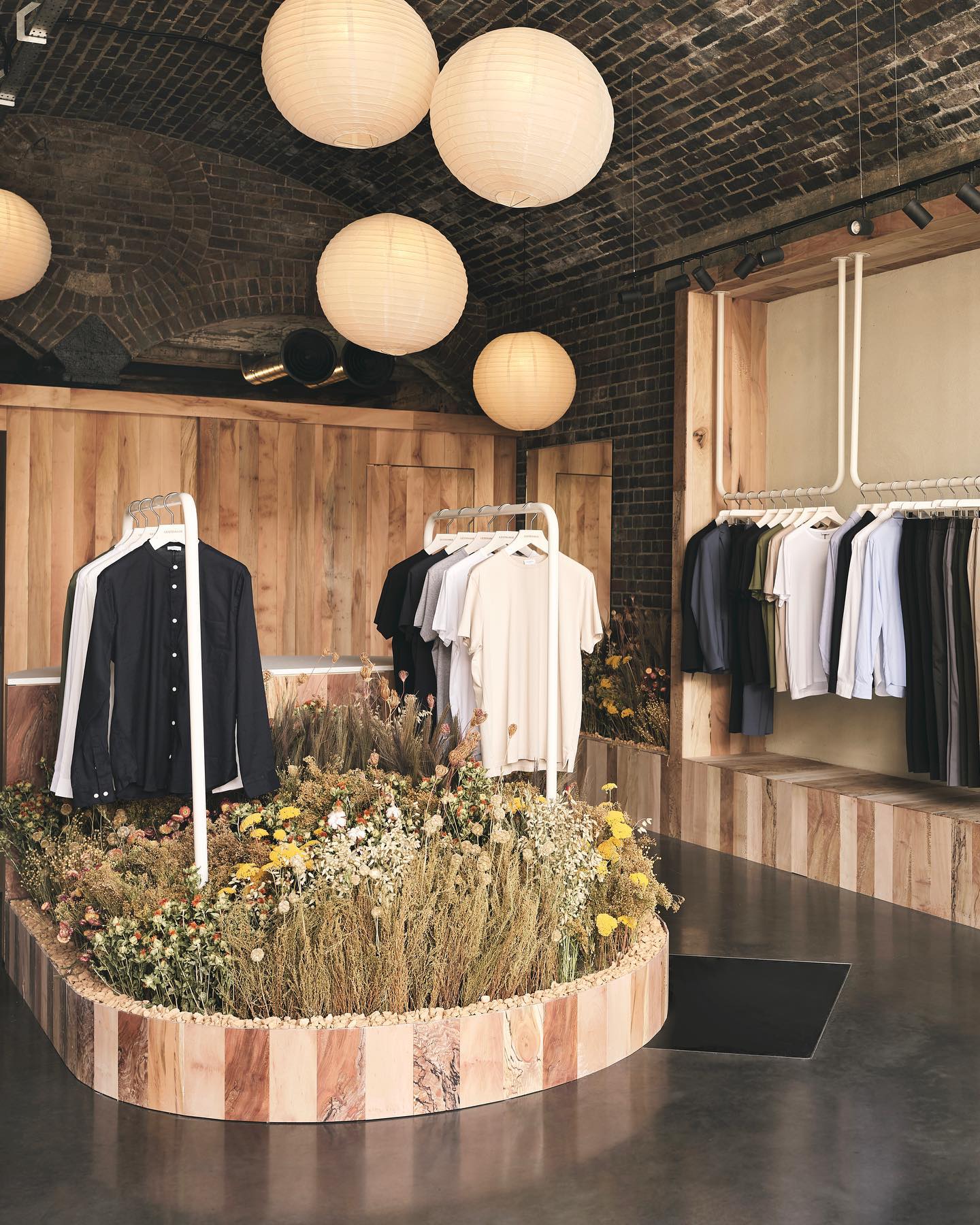 London plane in Coal Drops Yard