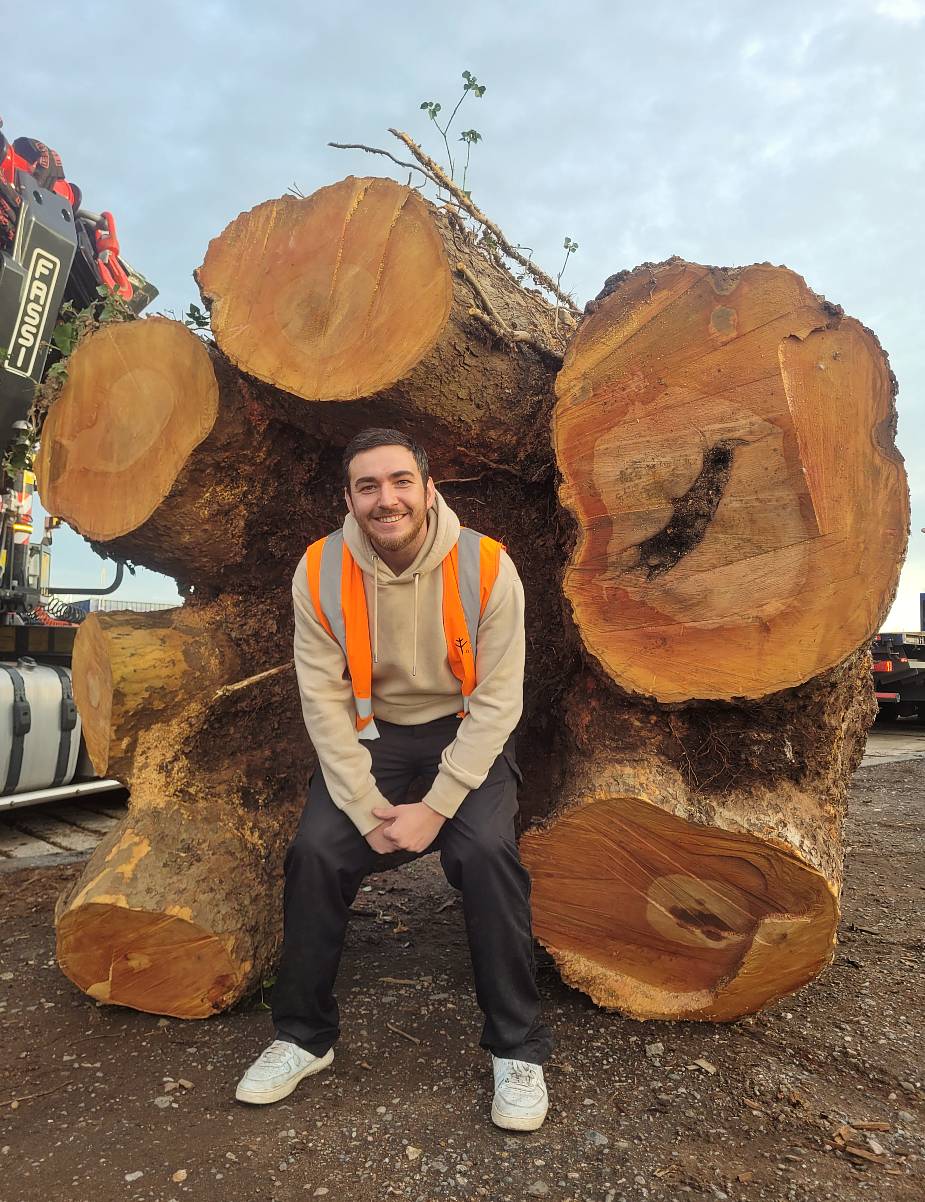 Turning a huge London plane log into furniture timber