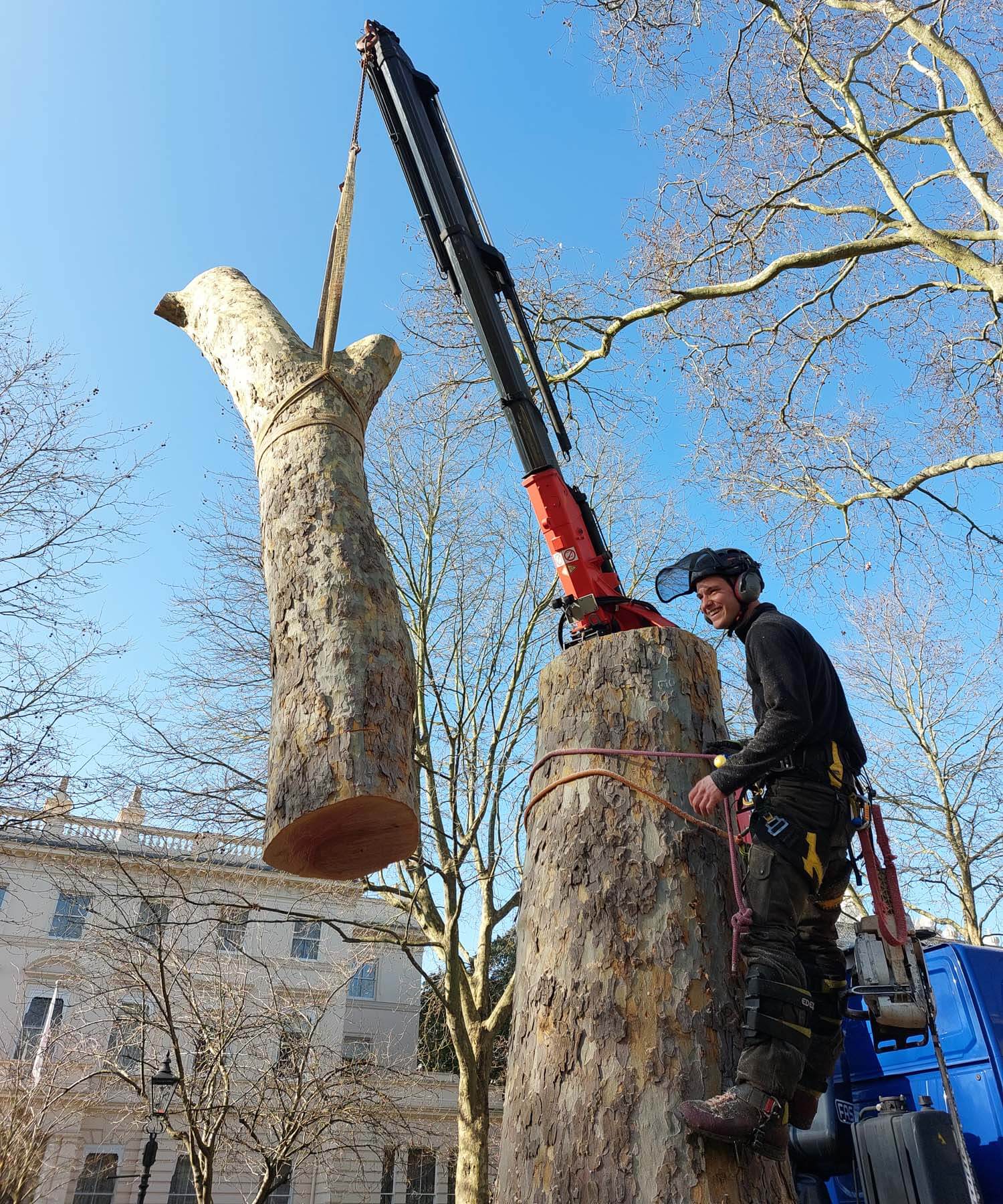 Kensington Palace Garden planes