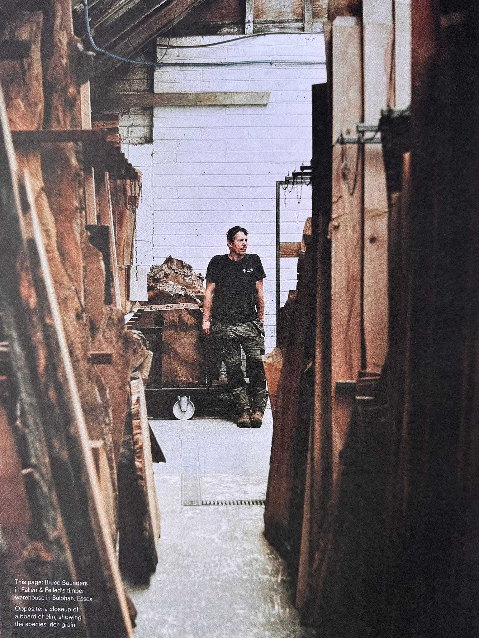 Positive News article about Fallen & Felled