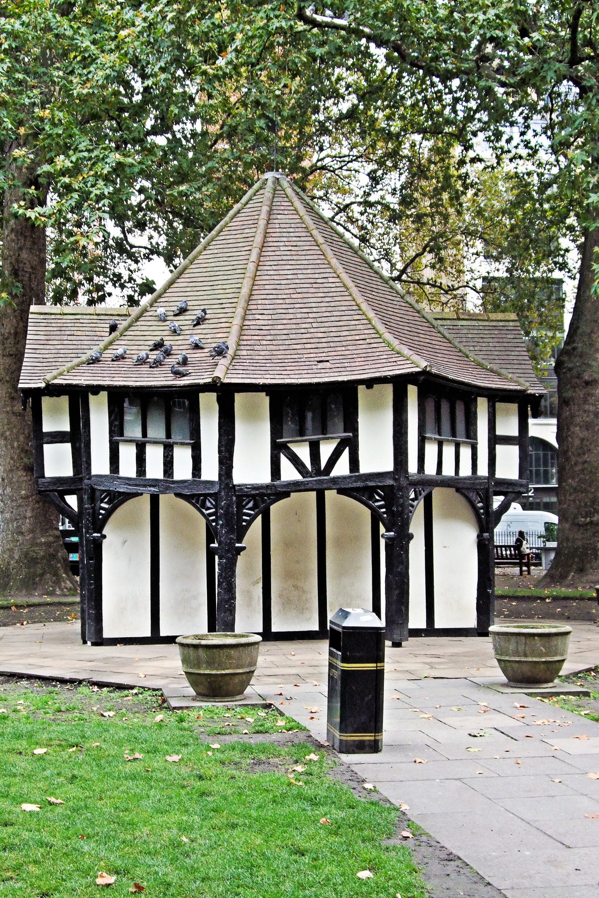 Huge plane falls in Soho Square