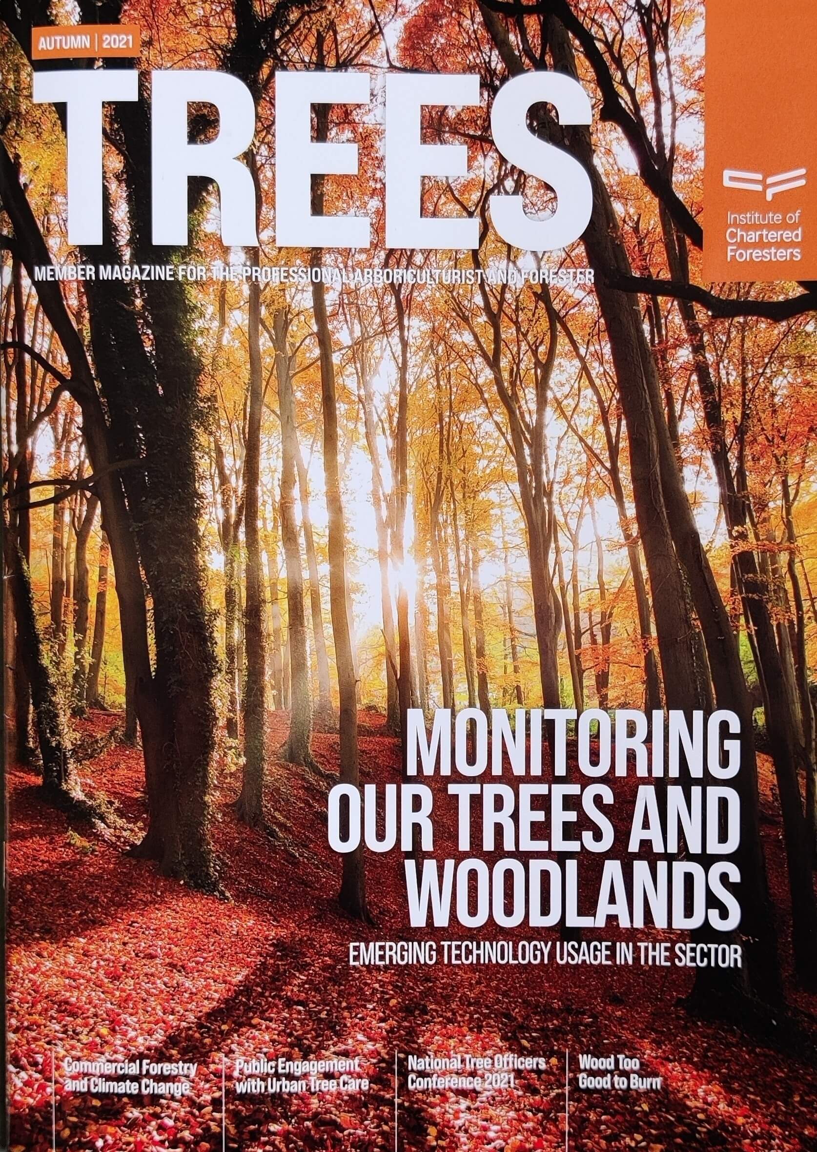 Interview: Wood too good to burn