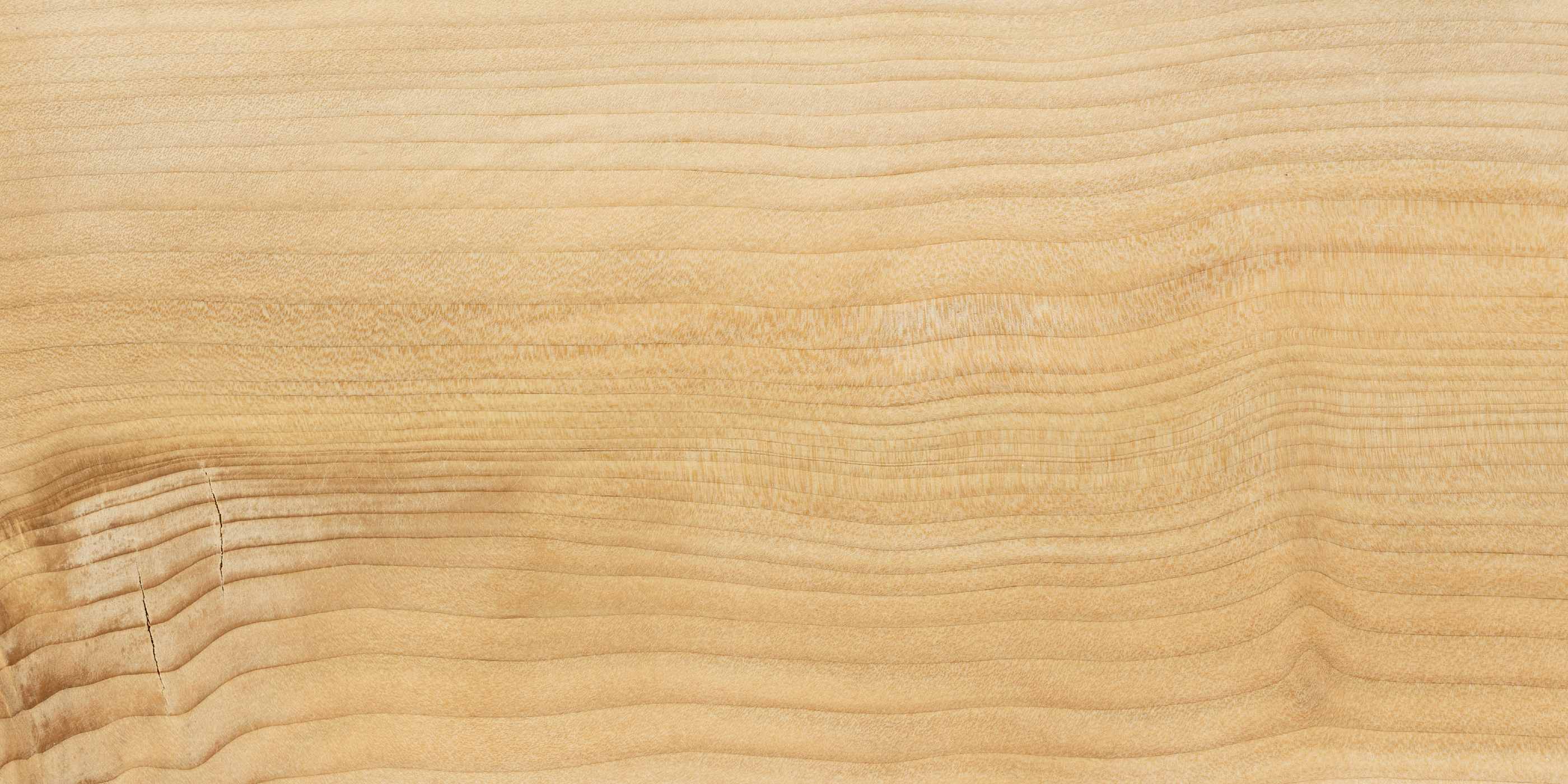 Close-up of a Cedar of Lebanon wood surface with visible grain and texture