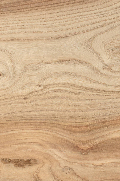 ELM