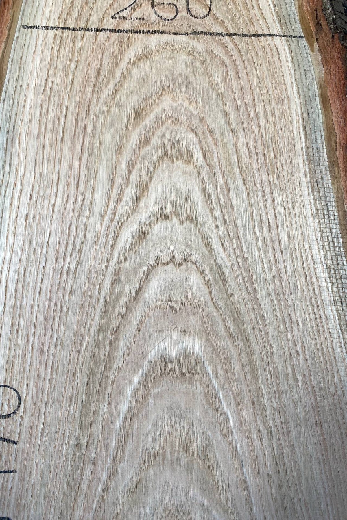 Sweet Chestnut - Waney Edge Board