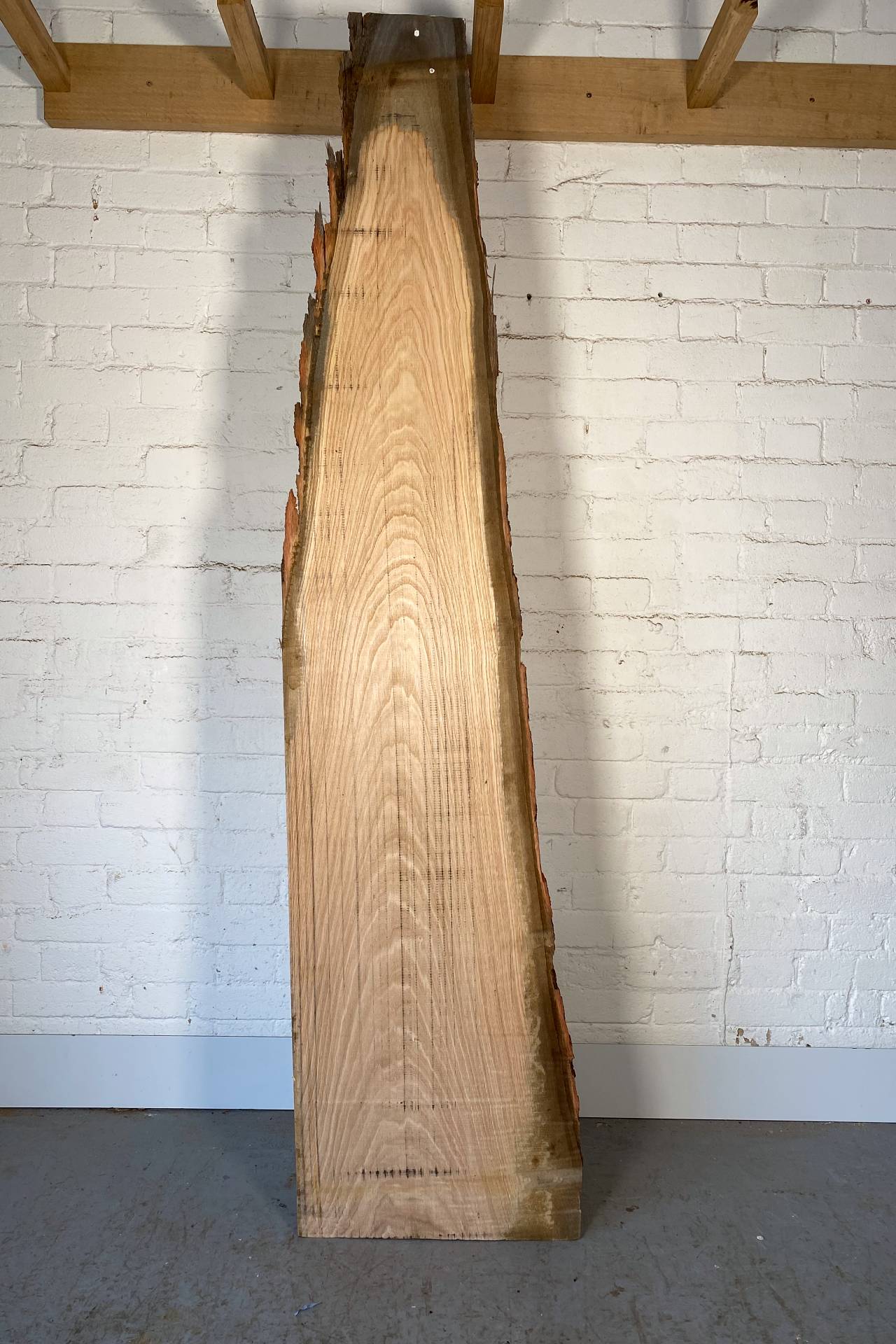 Sweet Chestnut - Waney Edge Board