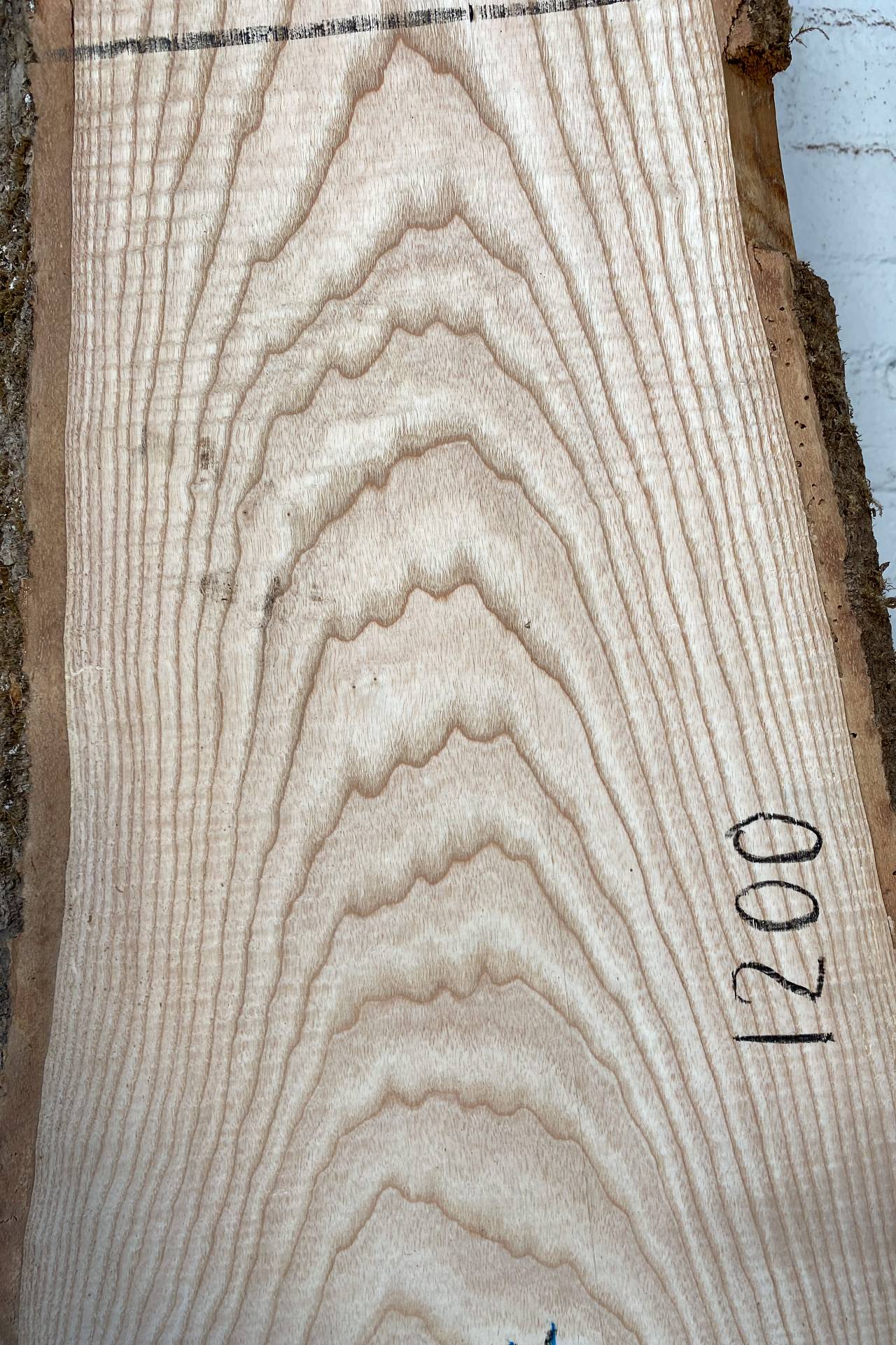 Ash - Waney Edge Board