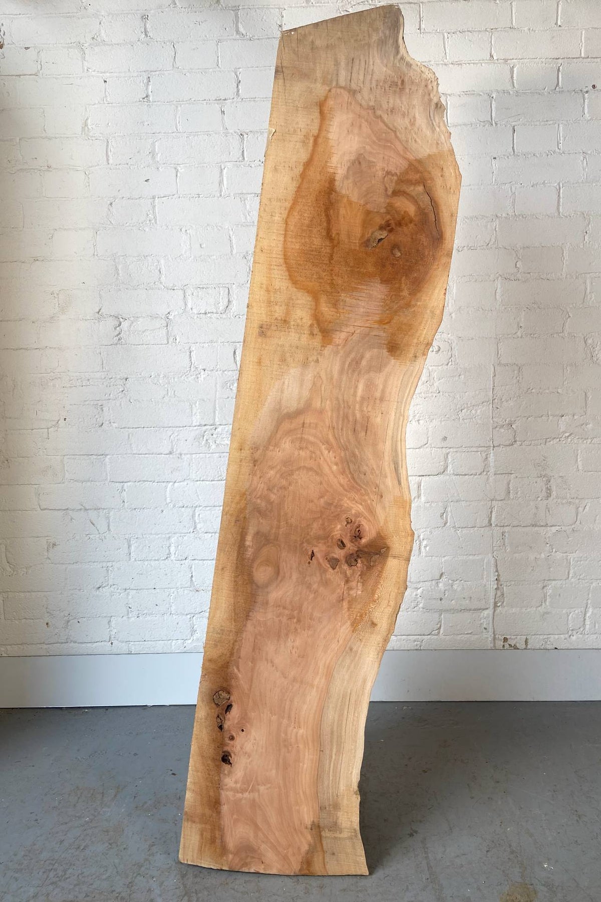 London Plane - Waney Edge Board
