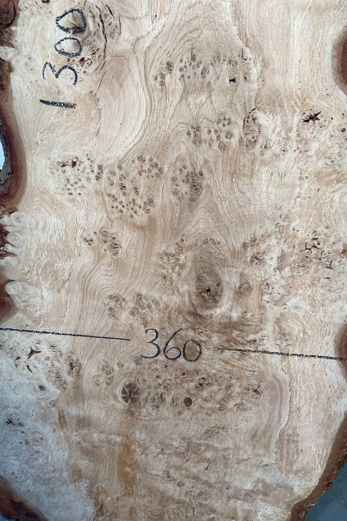 Oak - Pippy Burr Board