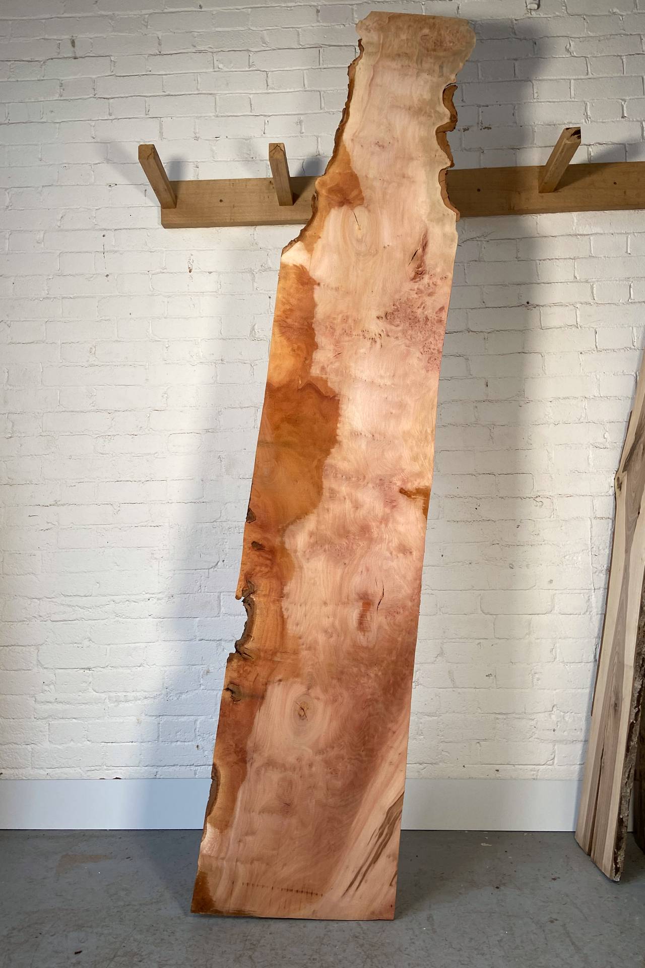 London Plane - Character board