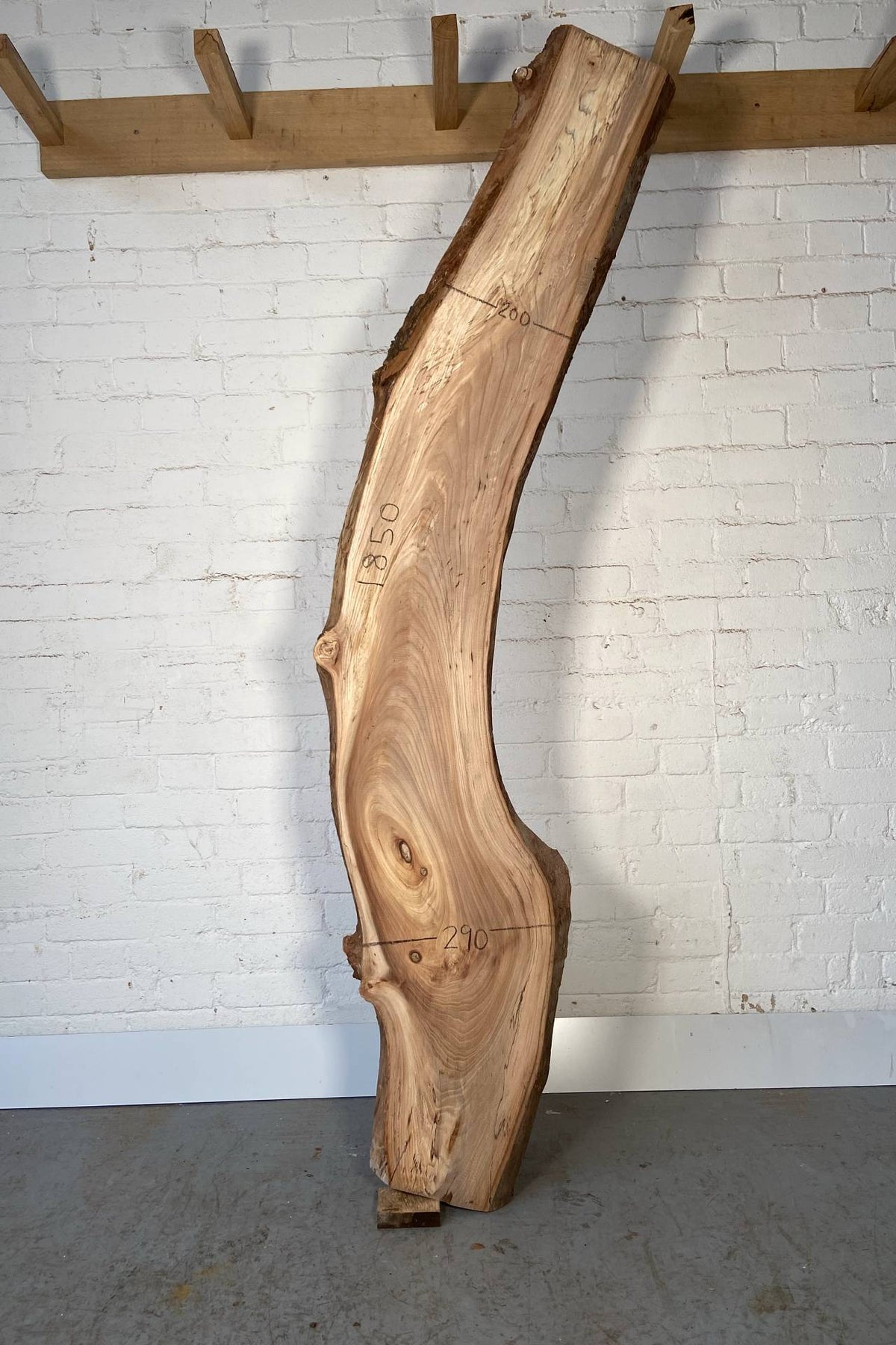 Elm - Waney Edge Board