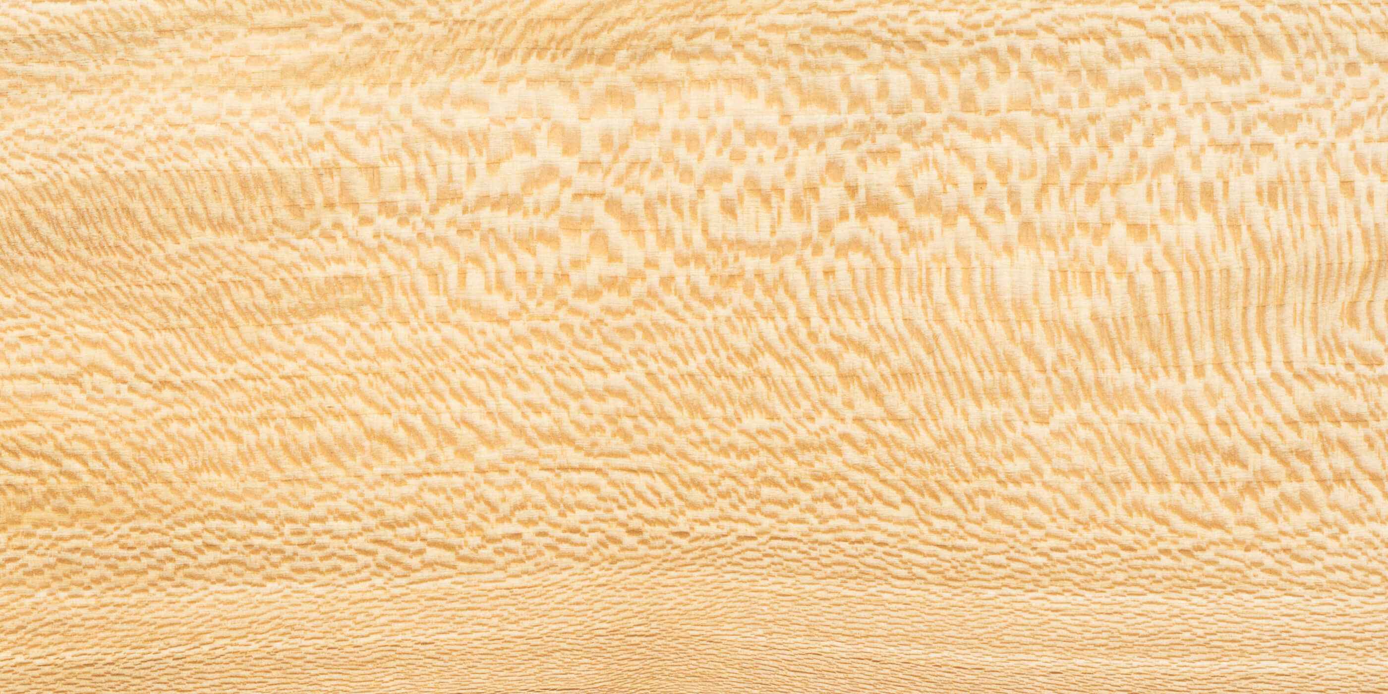 Close up of London plane wood grain