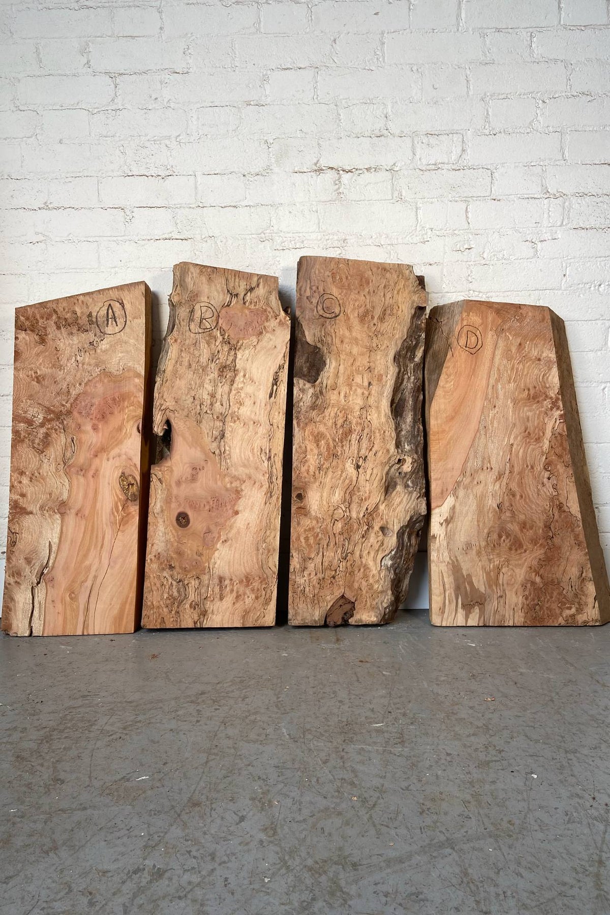 London Plane - Spalted Pippy Burr