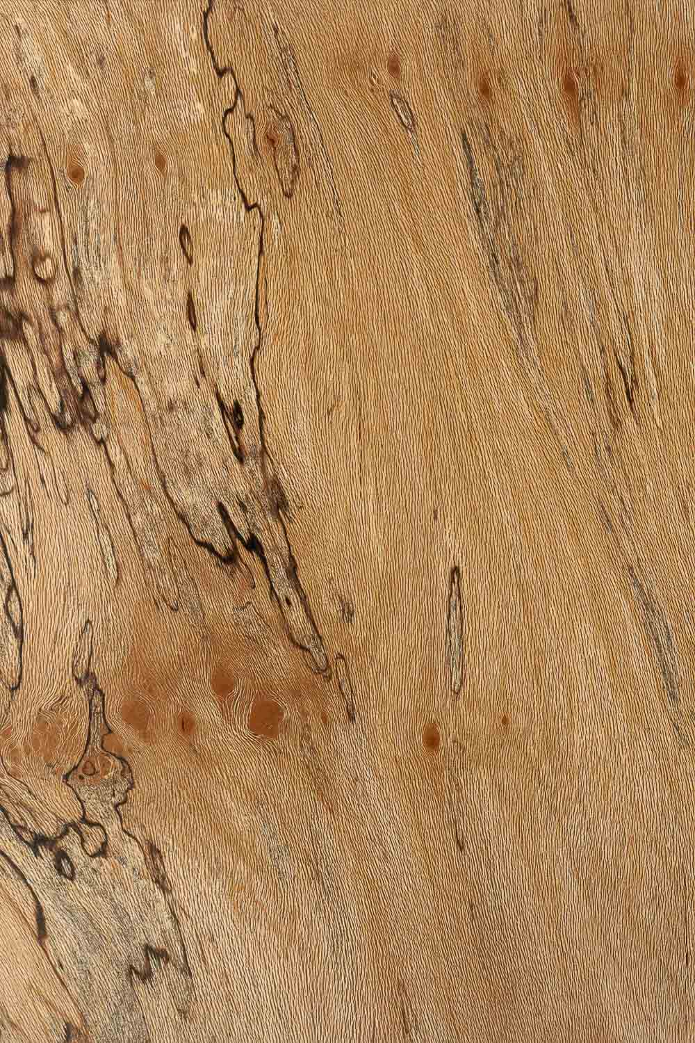 LONDON PLANE