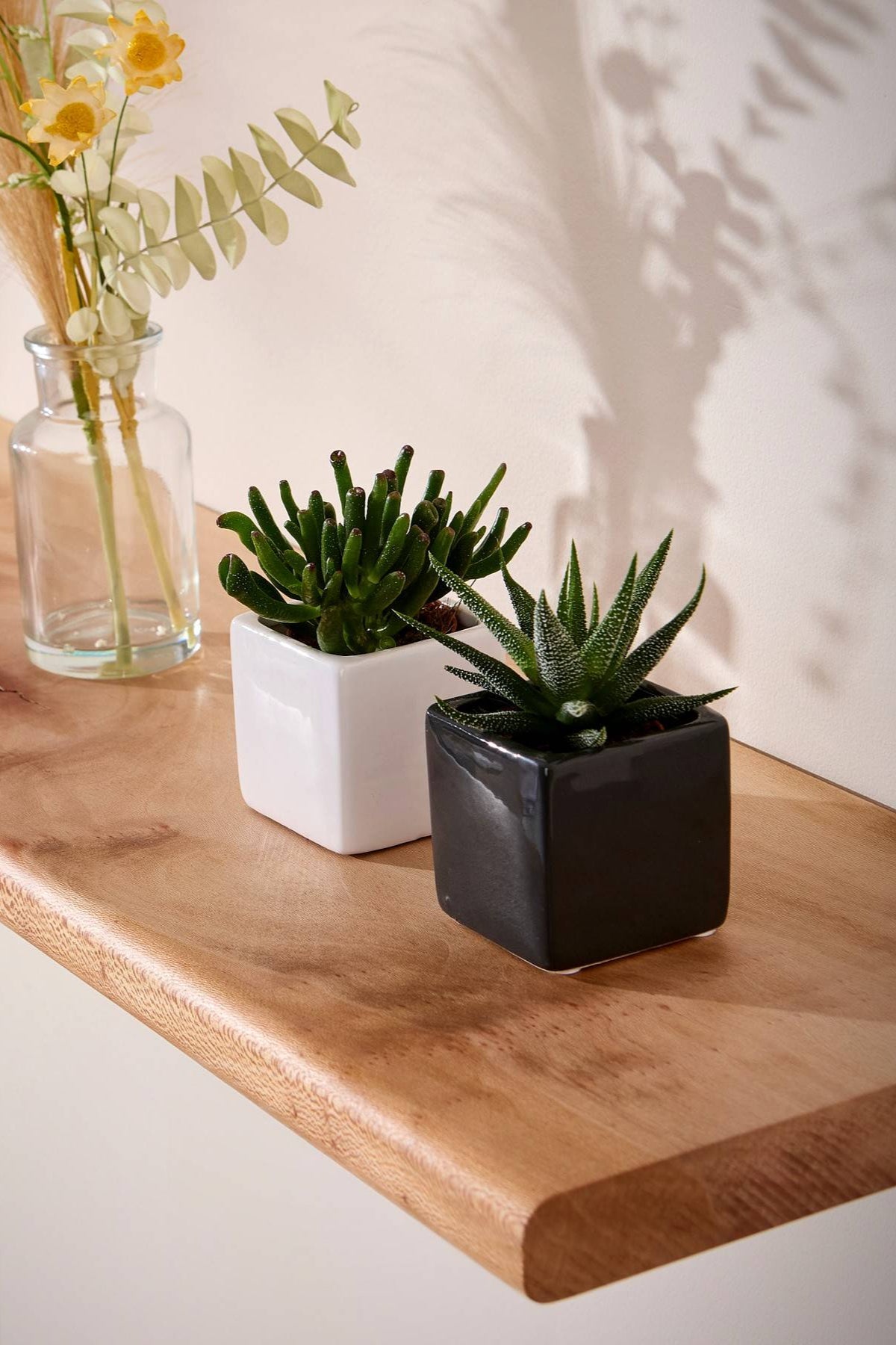 Houseplants on a solid London plane floating wooden shelf