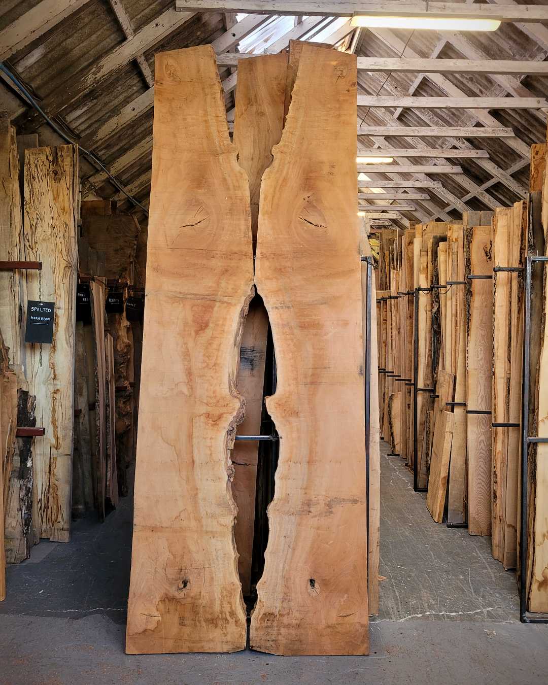 English hardwood slabs at Fallen & Felled's Essex timber yard