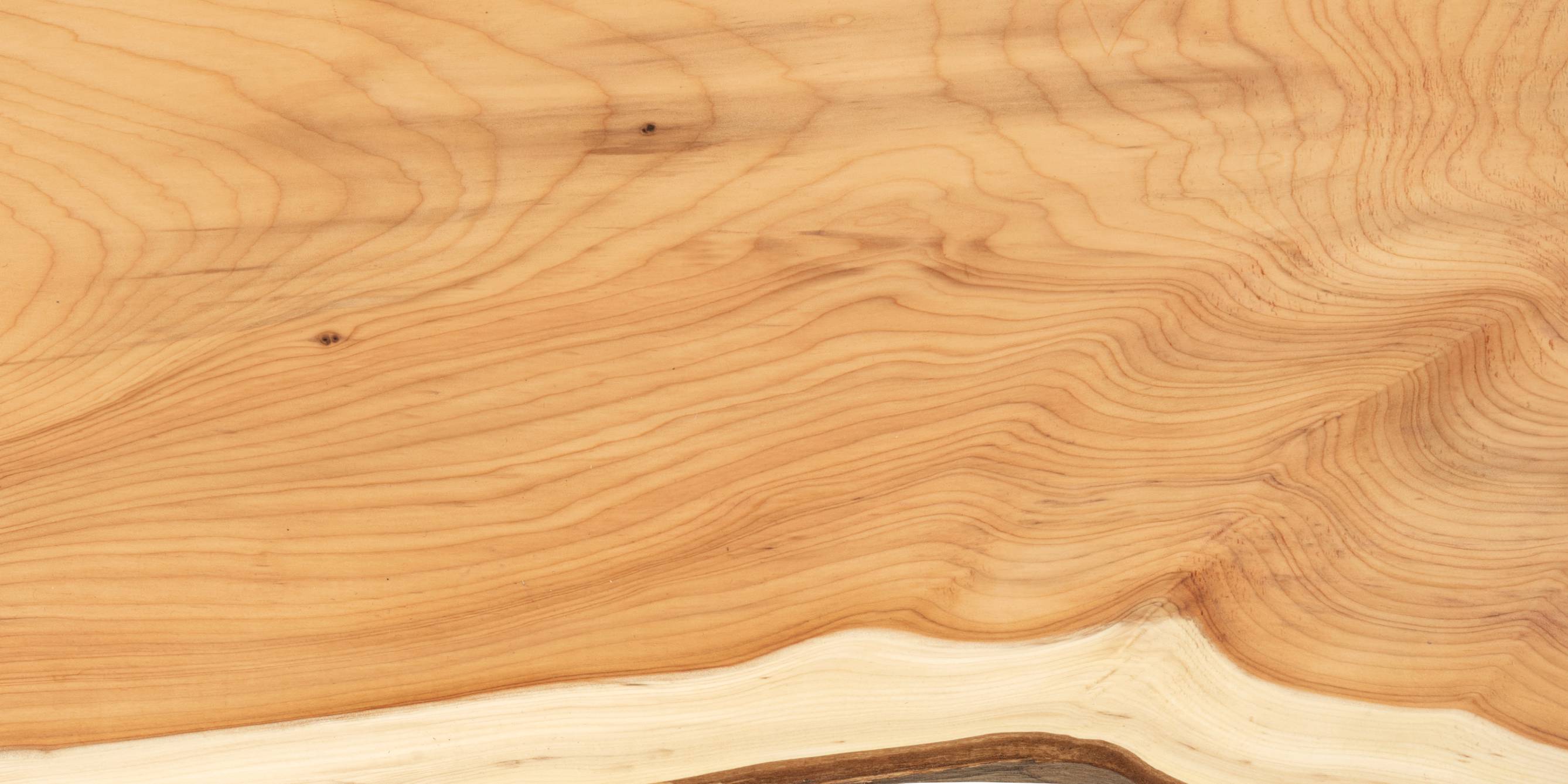 Close-up of a yew wood with visible grain and texture