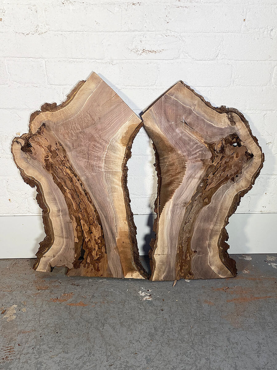 Black Walnut - Bookmatched Pair