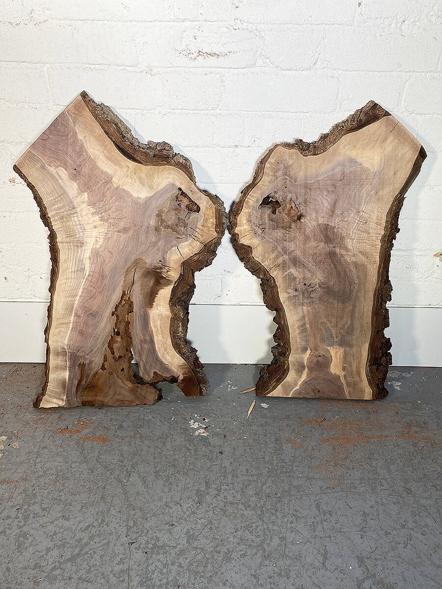 Black Walnut - Bookmatched Pair
