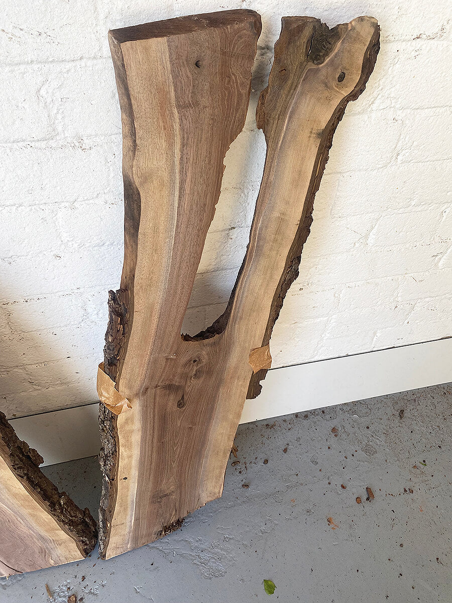 Black Walnut - Character Bookmatched Pair