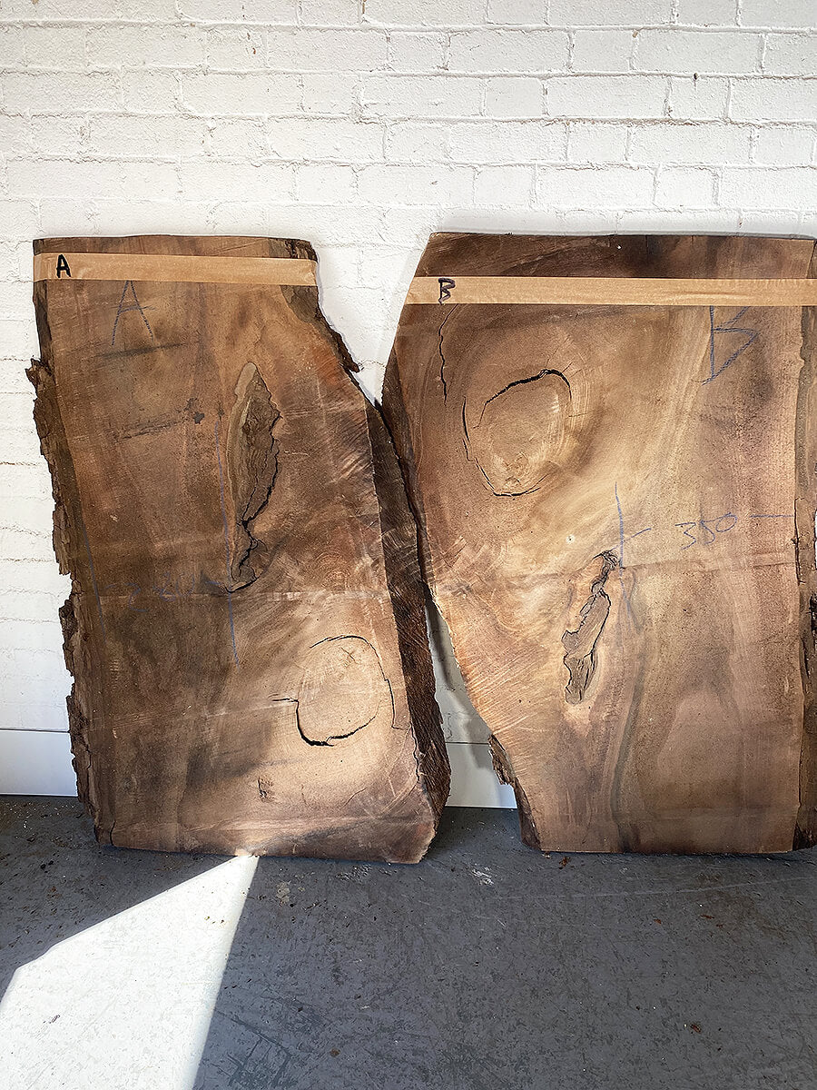 Black Walnut - Large Waney Edge Slabs