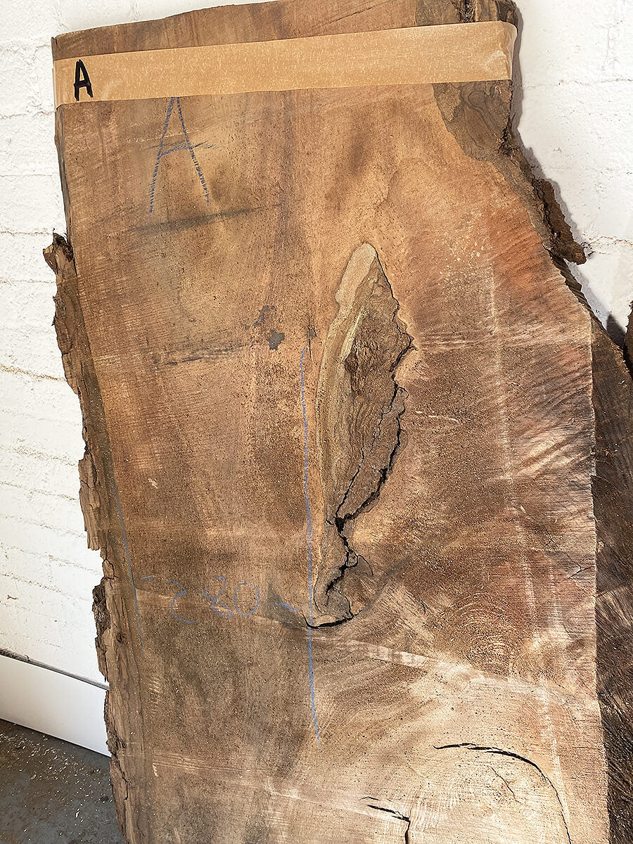 Black Walnut - Large Waney Edge Slabs