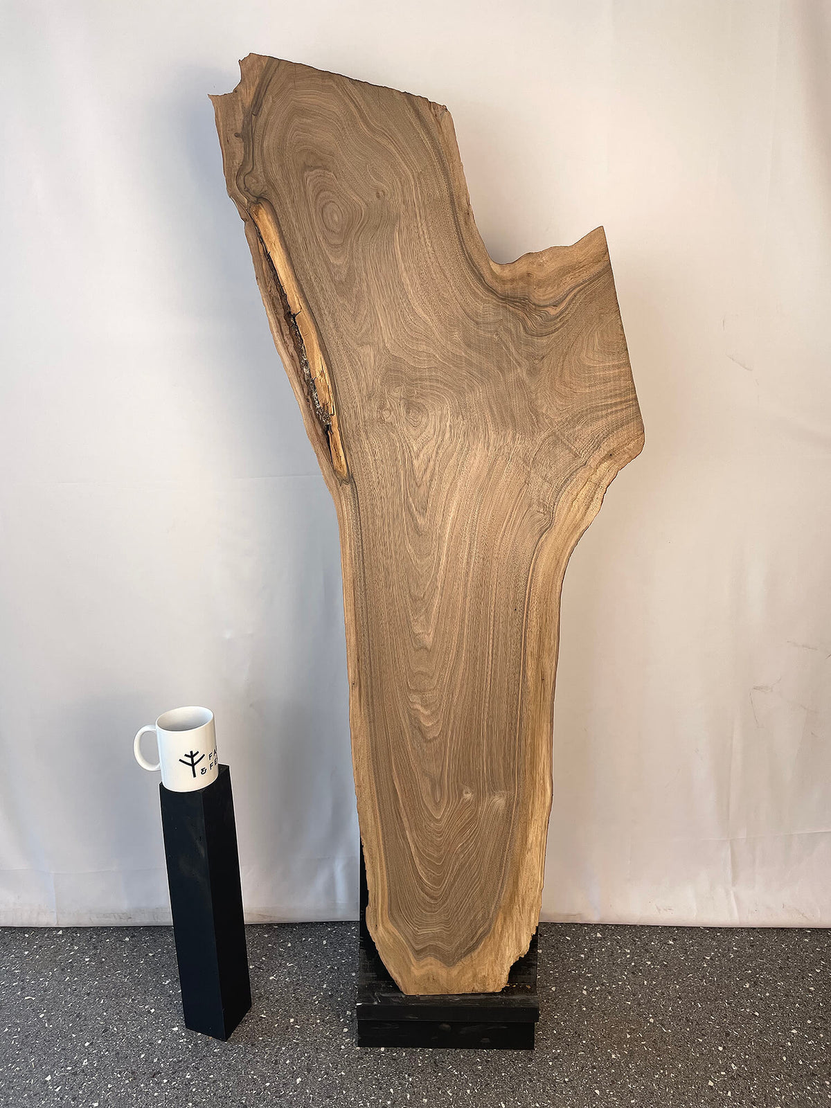 Black Walnut - Live Edge Board