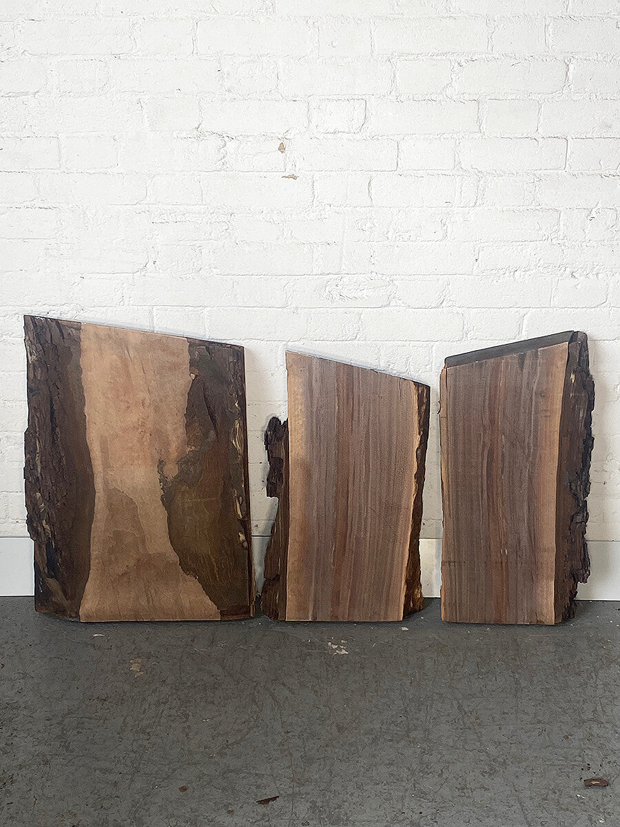 Black Walnut - Live Edge Boards