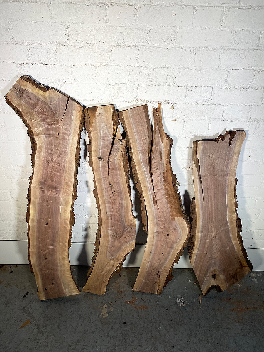 Black Walnut - Live Edge Boards