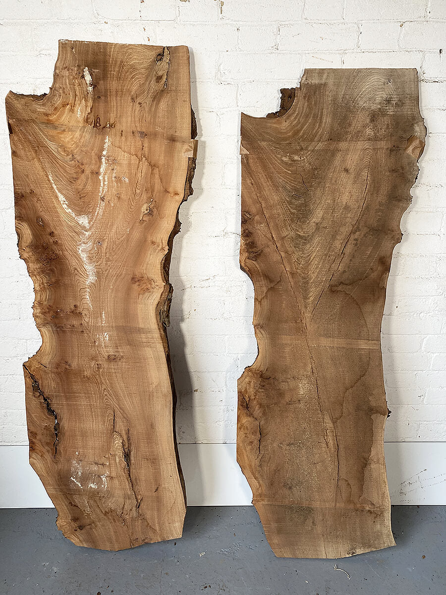 Elm - Bookmatched Pair