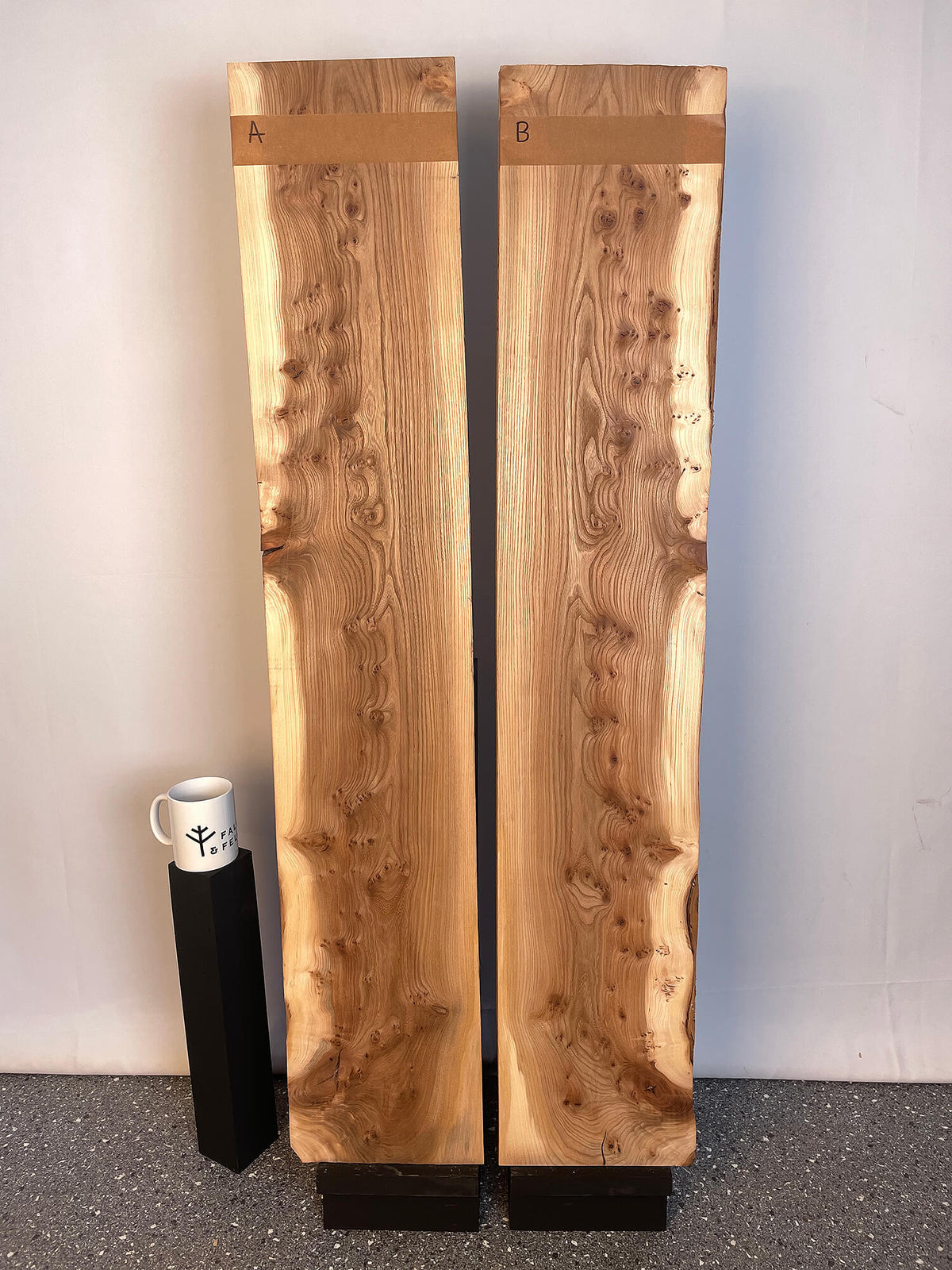 Elm - Bookmatched Pair
