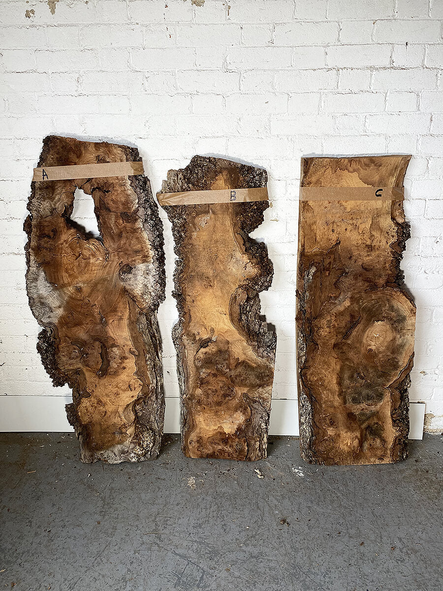 Elm - Burry Live Edge Boards