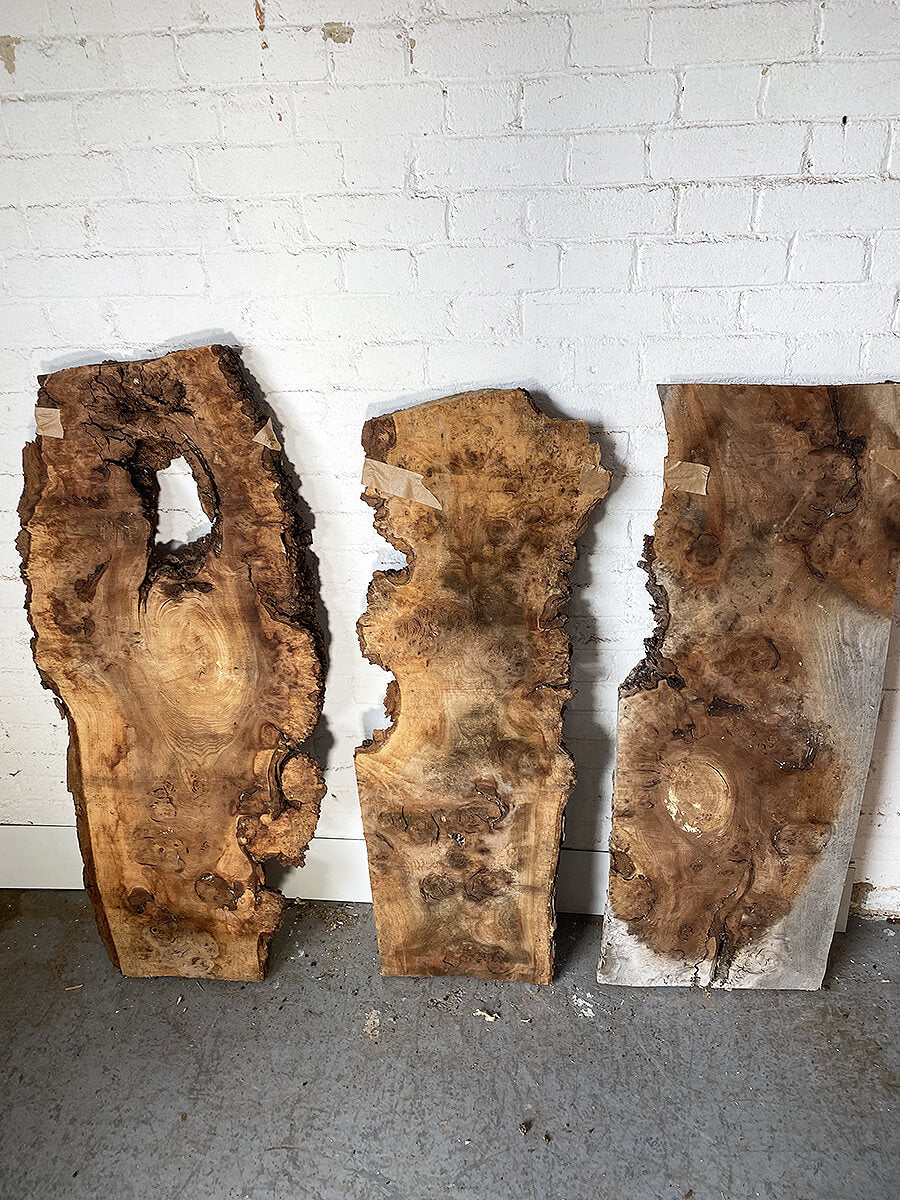 Elm - Burry Live Edge Boards