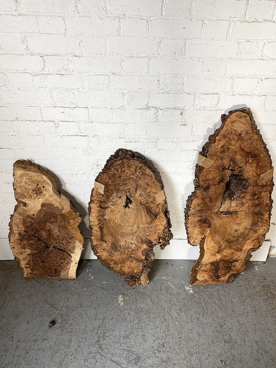 Elm - Burry Rustic Slabs