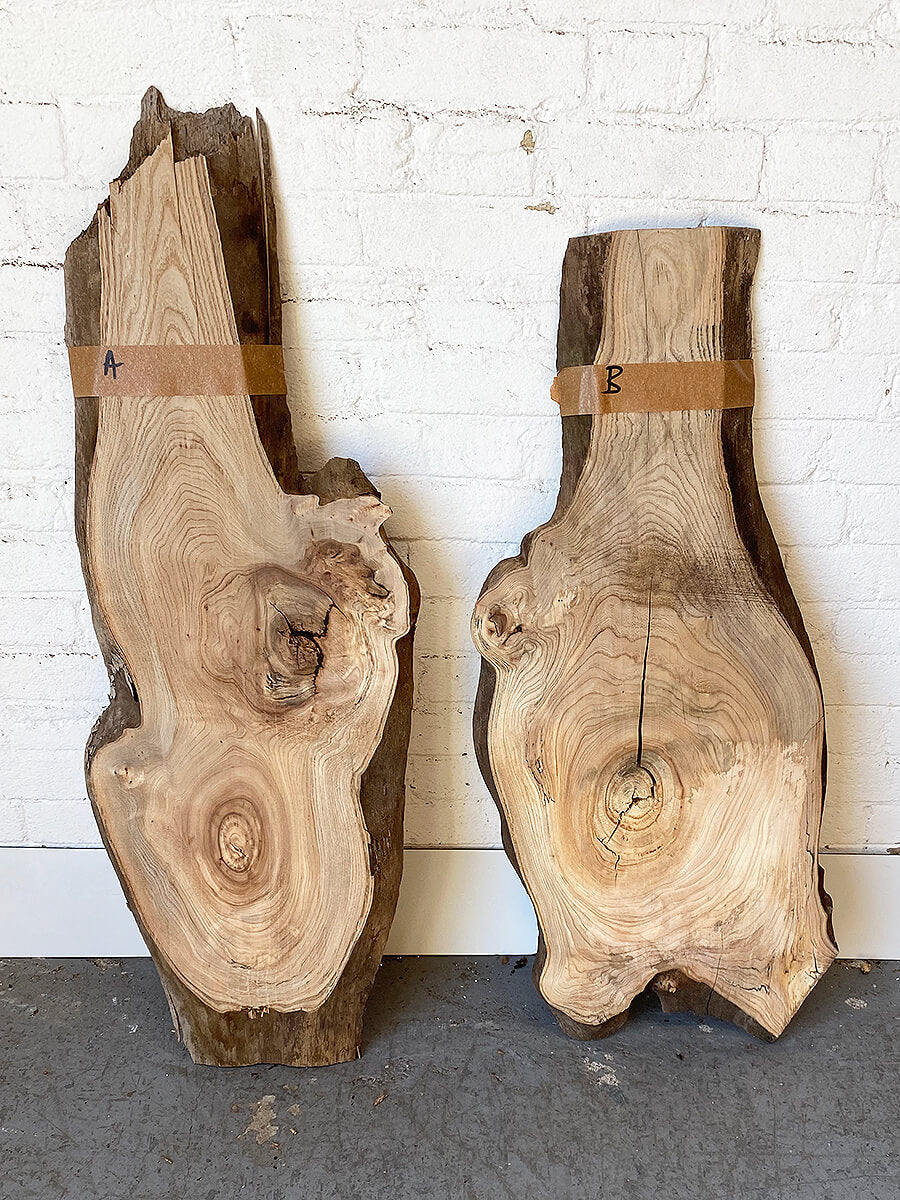 Elm - Character Boards