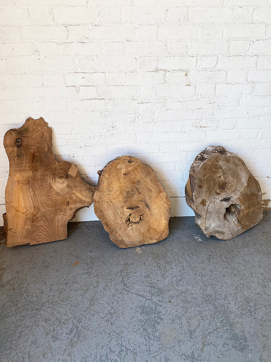 Elm - Character Boards / Slices