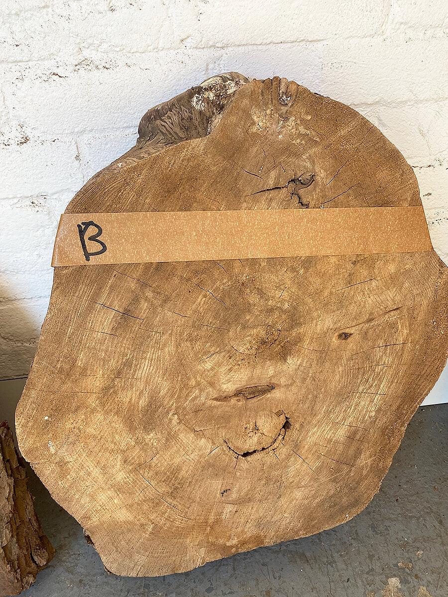 Elm - Character Boards / Slices