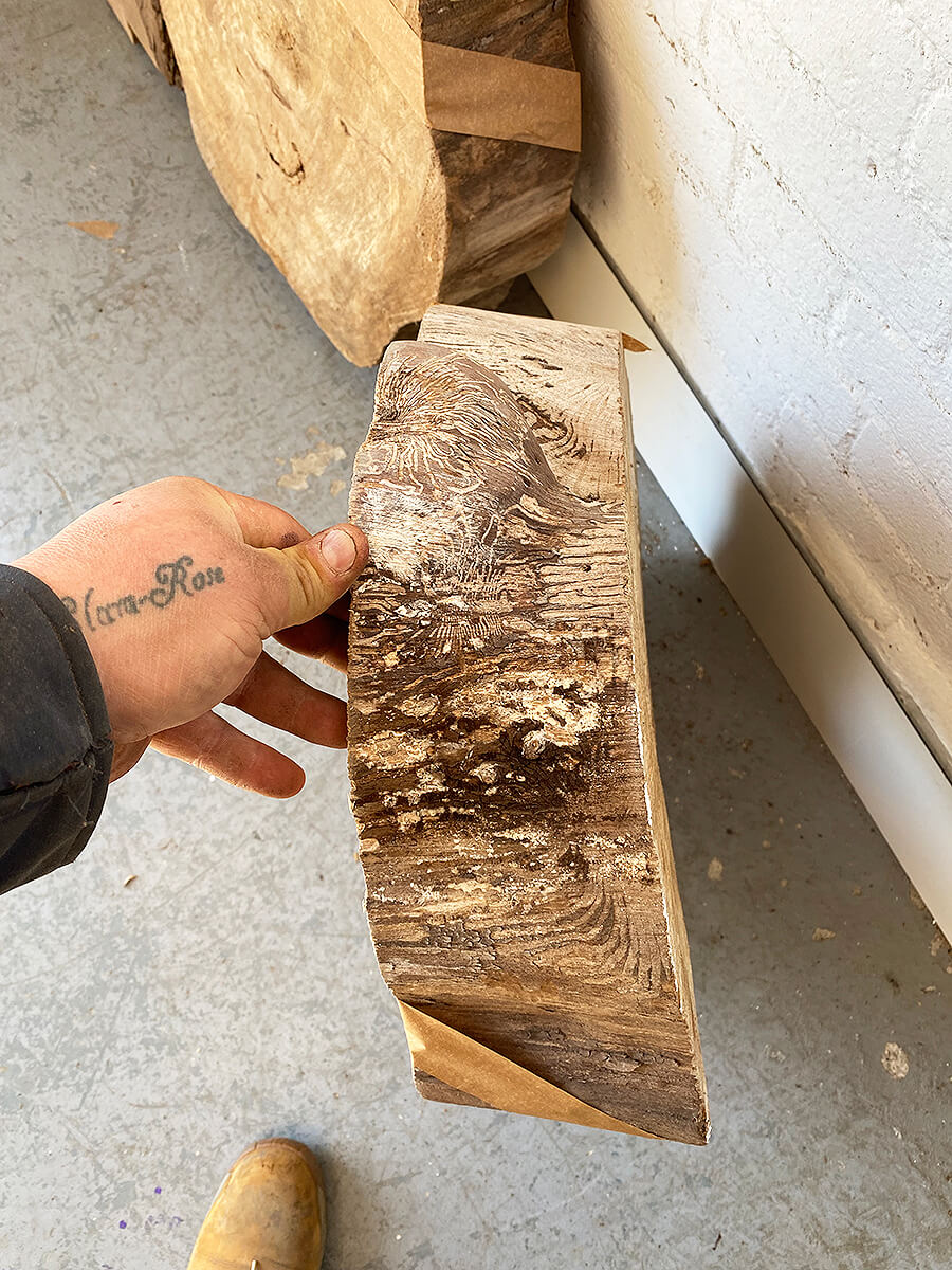 Elm - Character Boards / Slices
