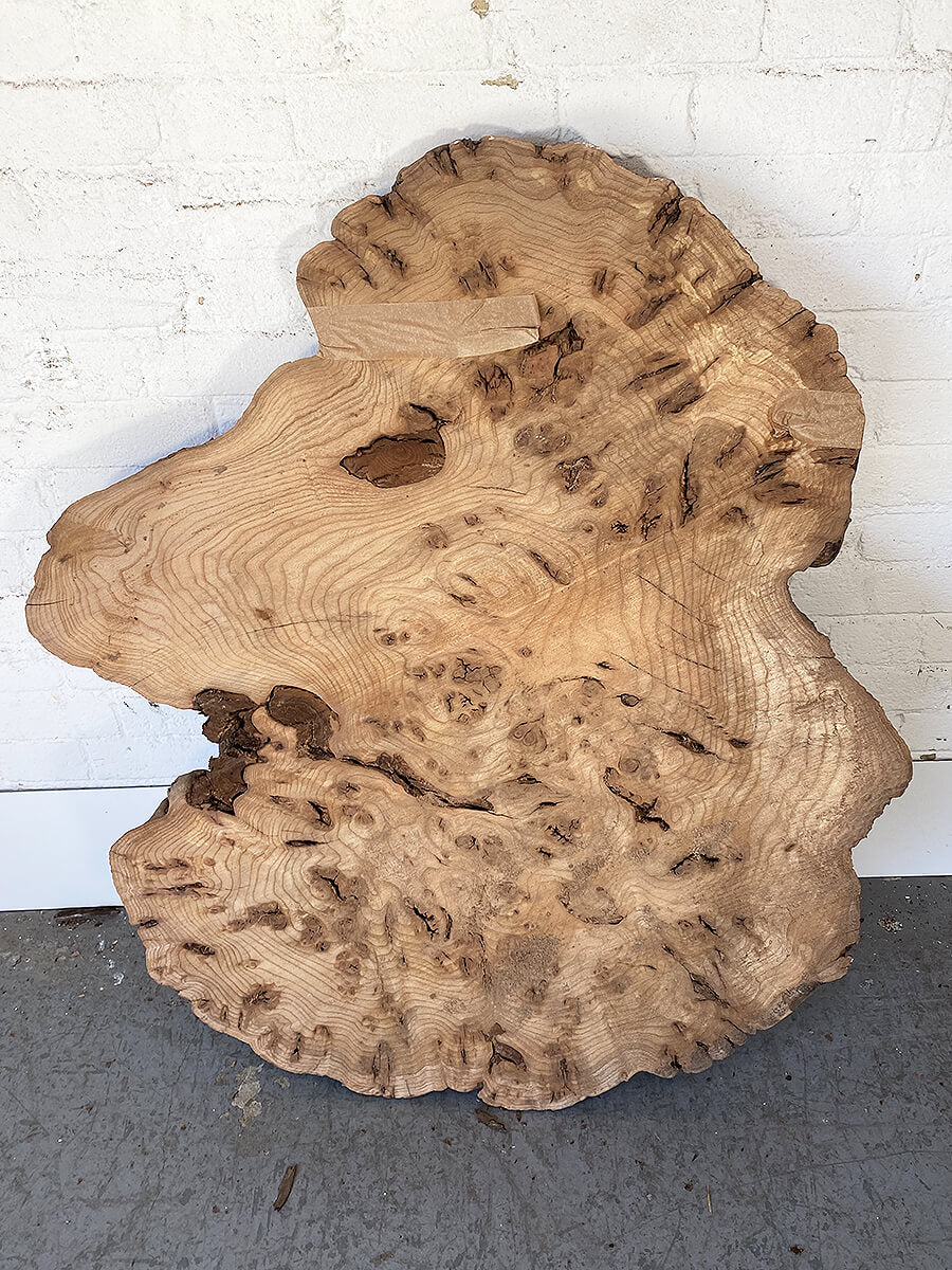 Elm - Character Burr Slab / Slice