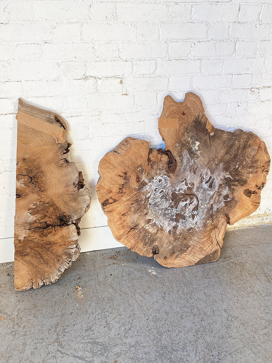 Elm - Character Burr Slabs / Slices