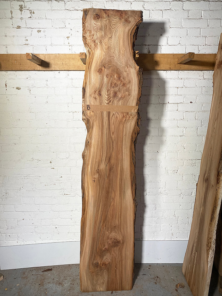 Elm - Double Live Edge Boards