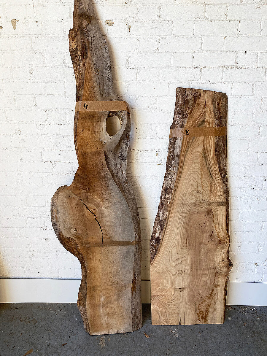 Elm - Live Edge Boards
