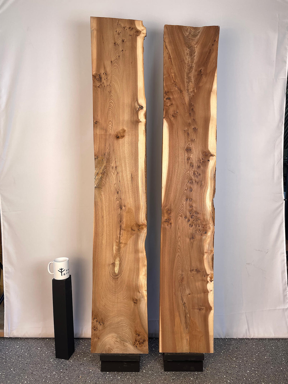 Elm - Live Edge Boards