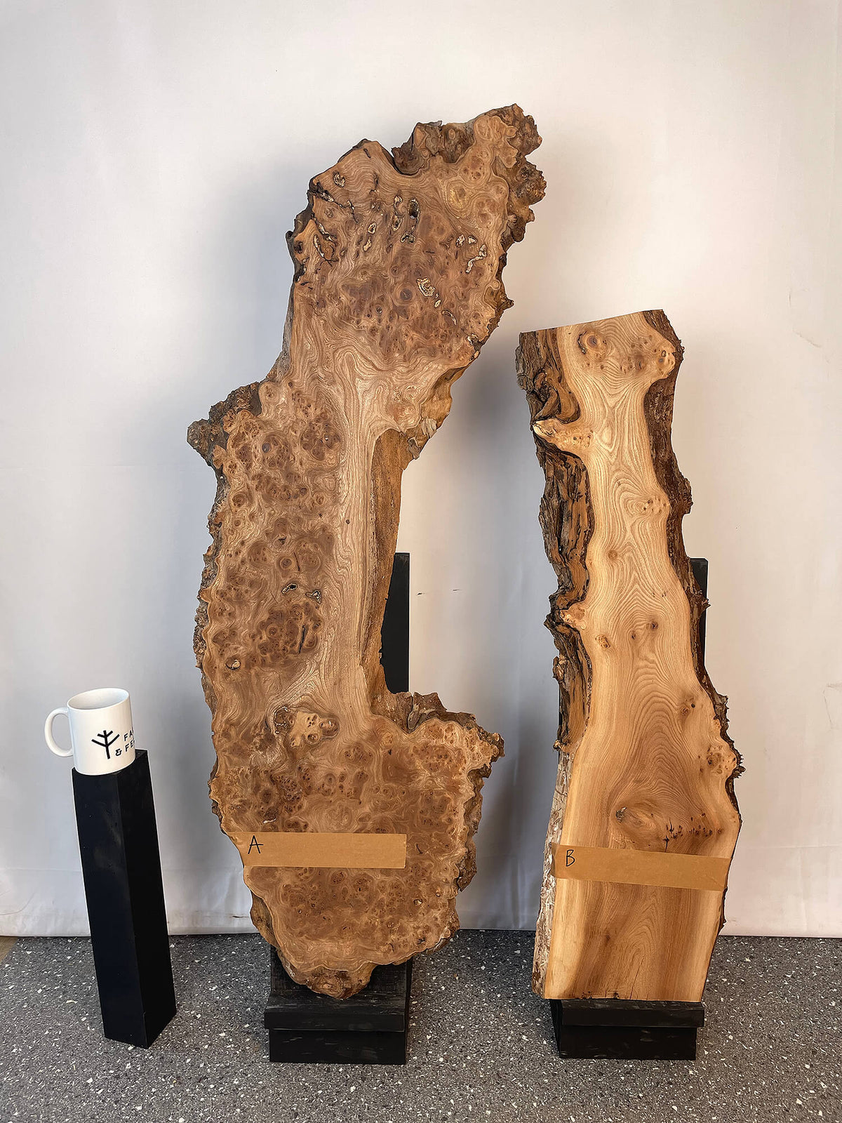 Elm - Live Edge Burr Boards
