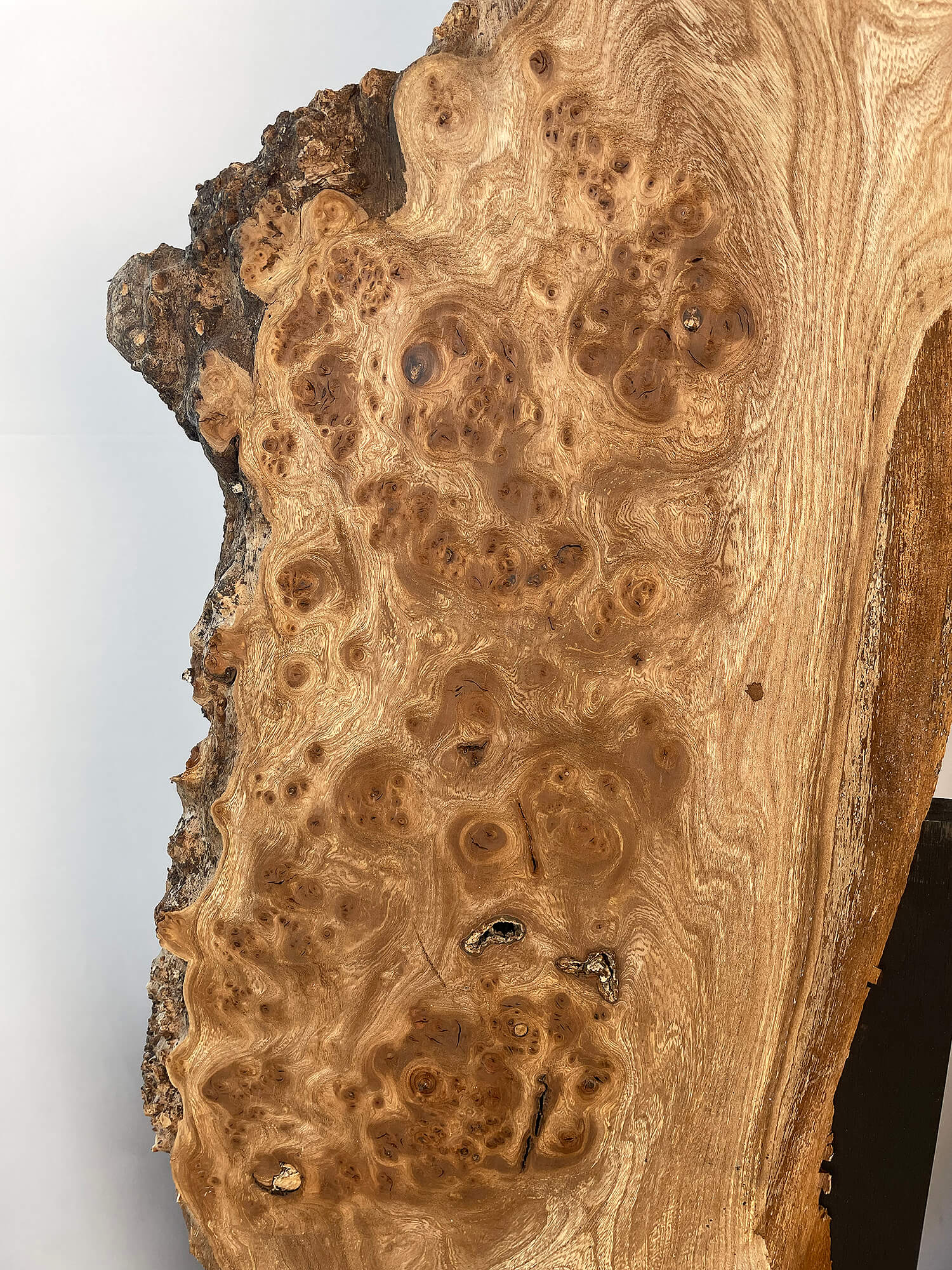 Elm - Live Edge Burr Boards