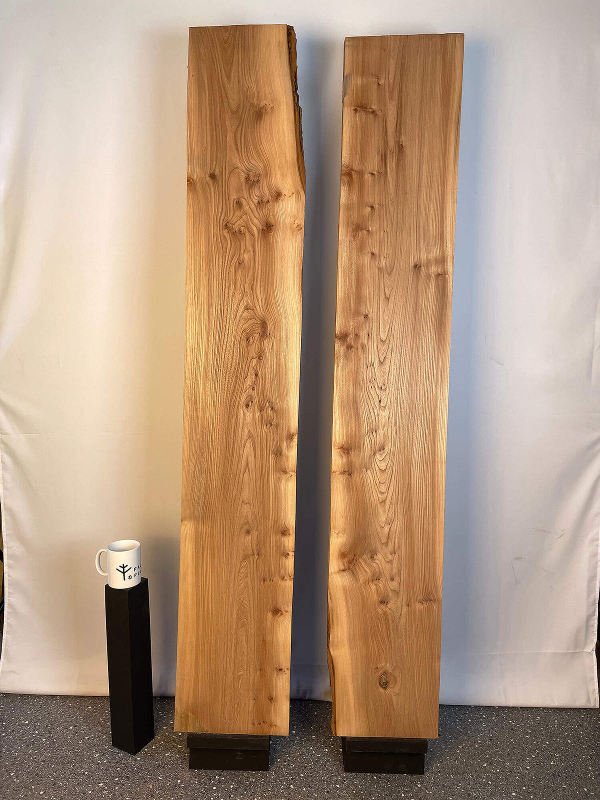Elm - Pippy Boards