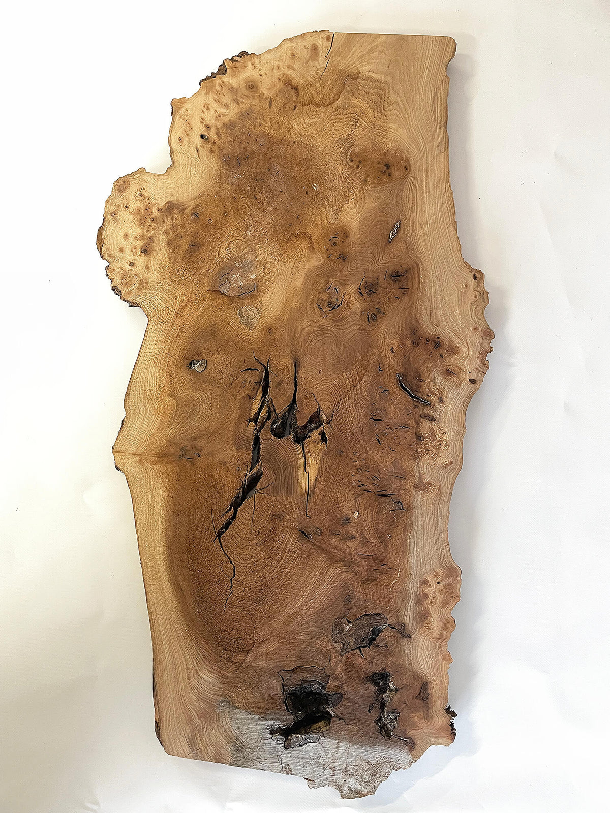 Elm - Pippy Burr Board