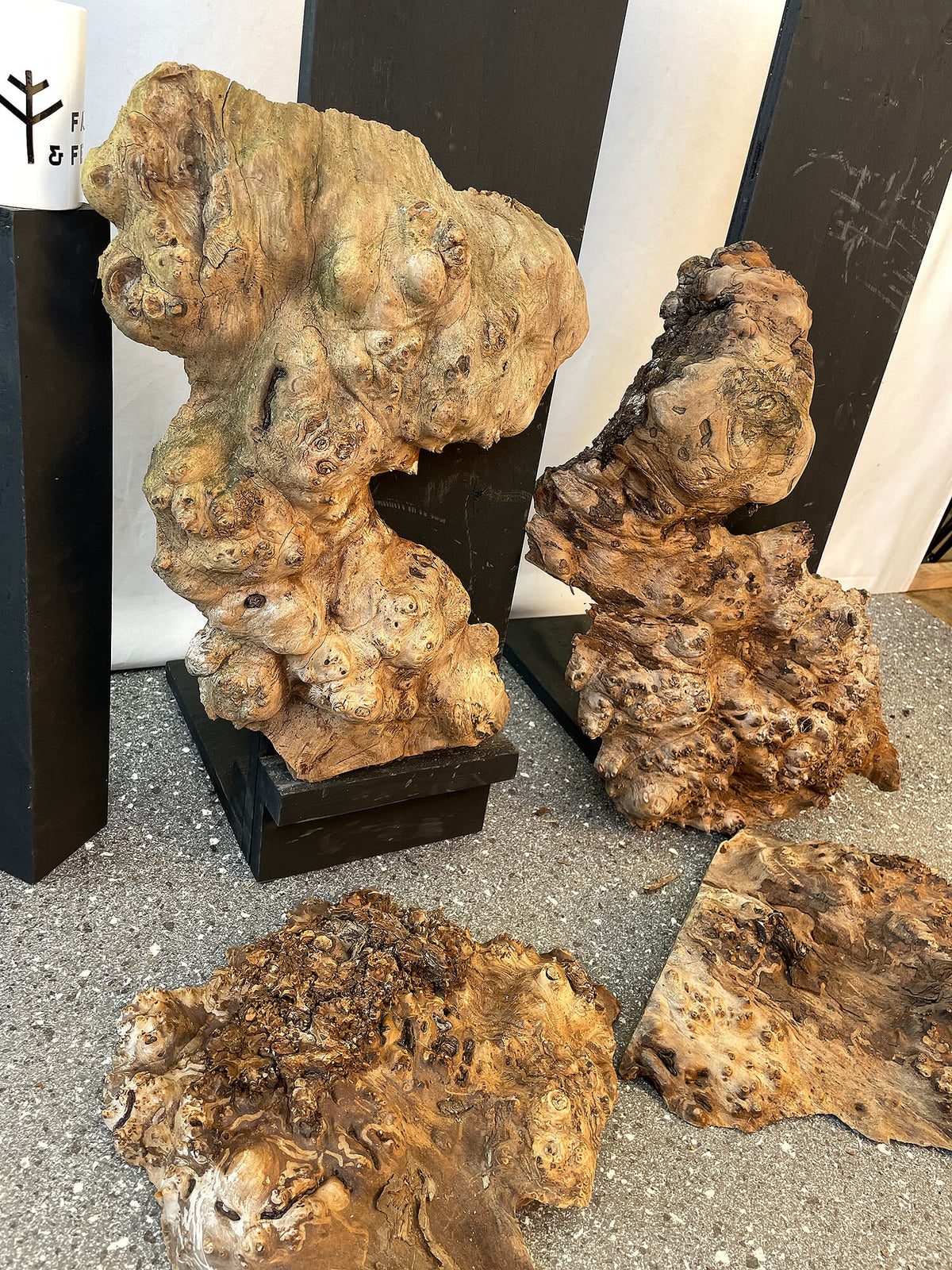 Elm - Rustic Burr Boards (Timber Pack)