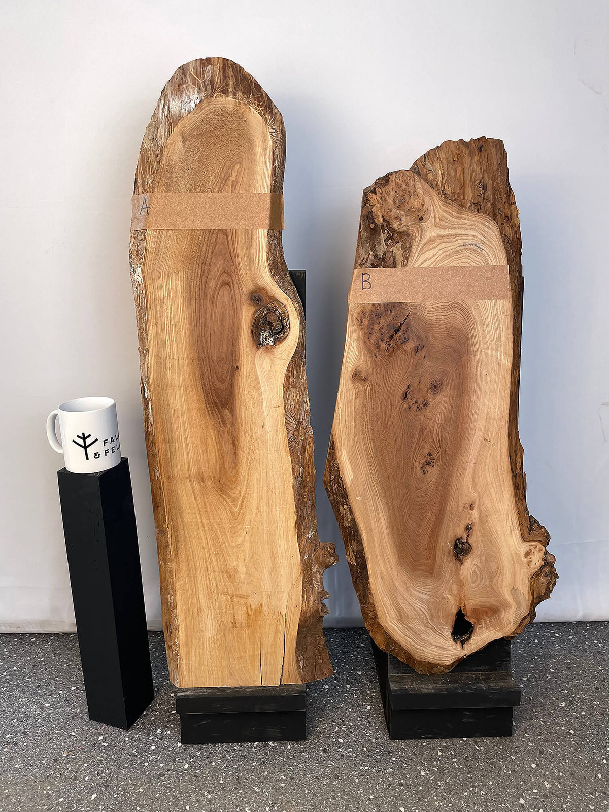 Elm - Rustic Pair
